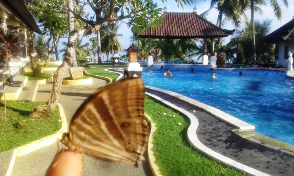 Bali Sunset Hotel Negara  Esterno foto